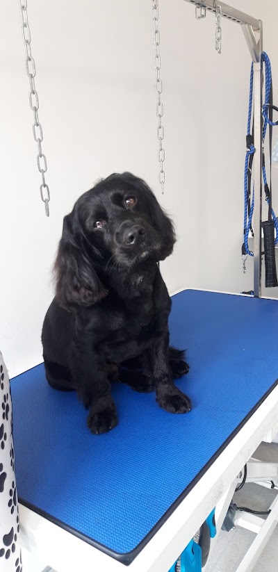 Grooming Van Image