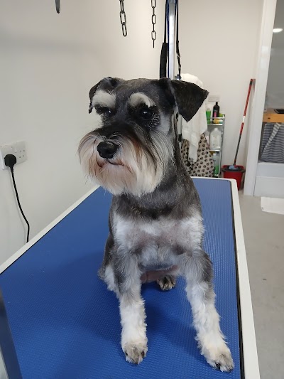 Grooming Van Image