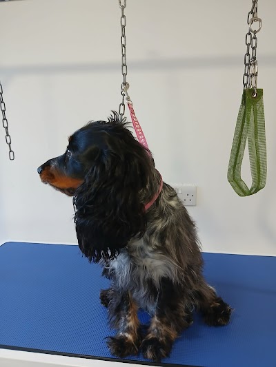 Grooming Van Image