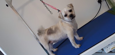 Grooming Van Image