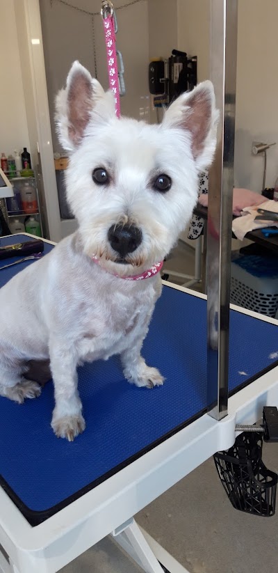 Grooming Van Image