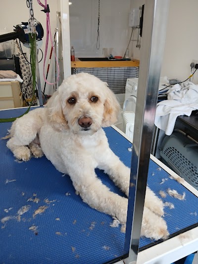 Four Seasons Dog Groomers