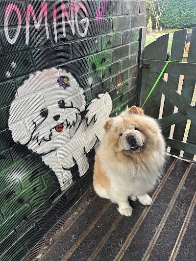 Grooming Van Image