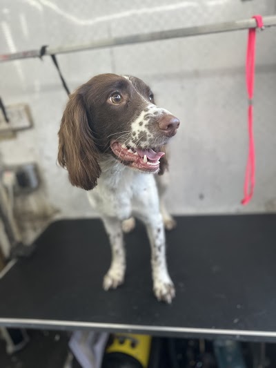 Grooming Van Image