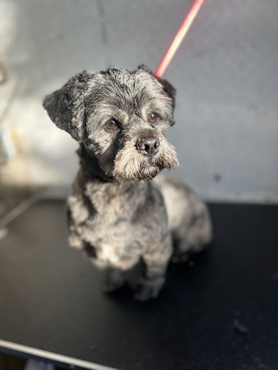 Grooming Van Image