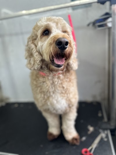 Grooming Van Image