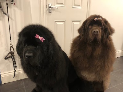 Grooming Van Image