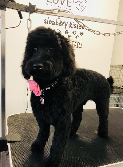 Grooming Van Image