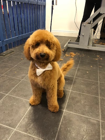 Grooming Van Image