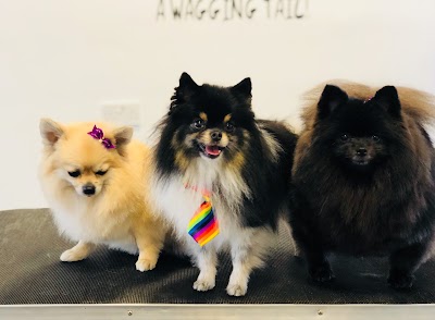 Grooming Van Image