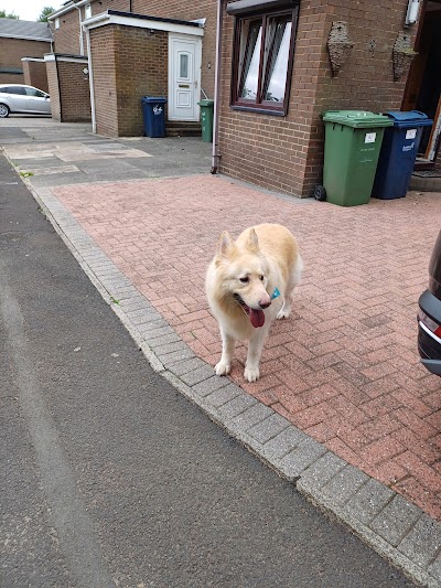 Grooming Van Image