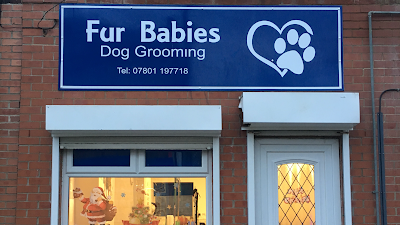 Fur Babies Dog Grooming