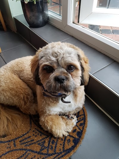 Grooming Van Image