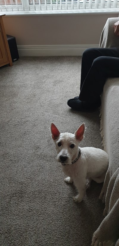 Grooming Van Image
