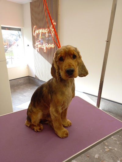 Grooming Van Image