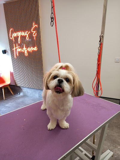 Grooming Van Image