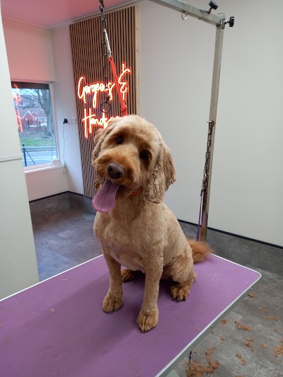 Grooming Van Image