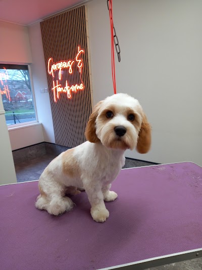 Grooming Van Image