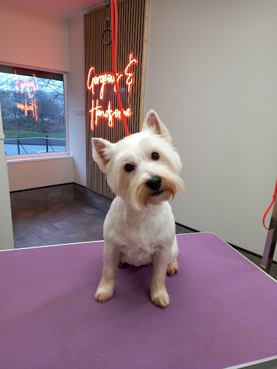 Grooming Van Image
