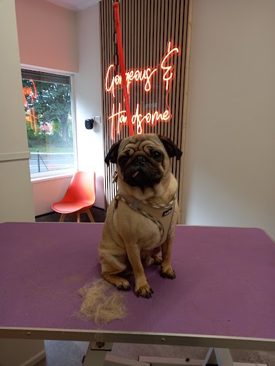 Grooming Van Image