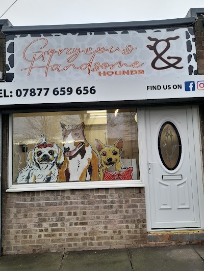 Gorgeous & Handsome Hounds Sunderland