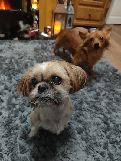 Grooming Van Image