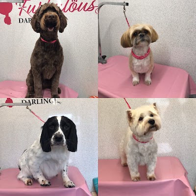 Grooming Van Image