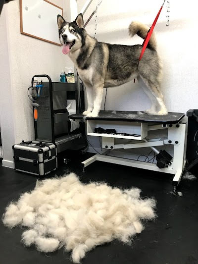 Grooming Van Image