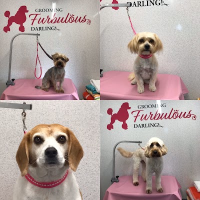 Grooming Van Image