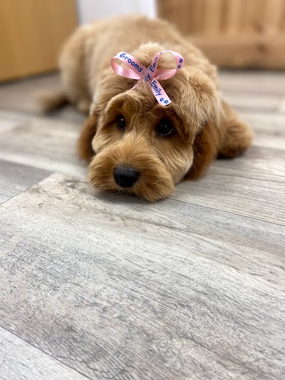 Grooming Van Image