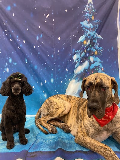 Grooming Van Image
