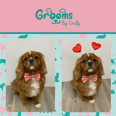 Grooming Van Image