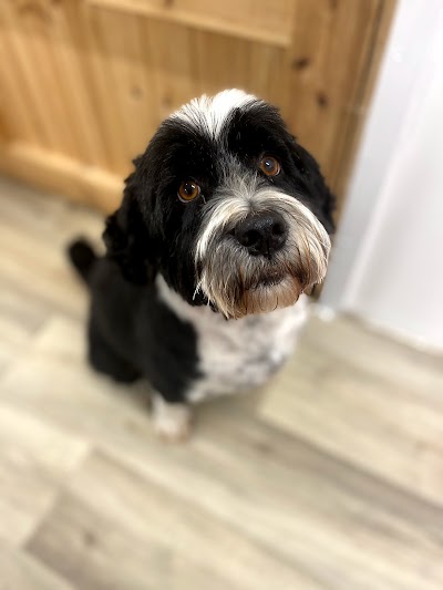 Grooming Van Image