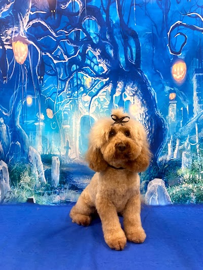 Grooming Van Image