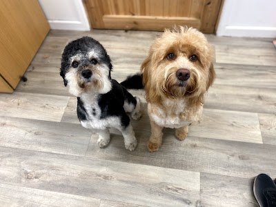 Grooming Van Image