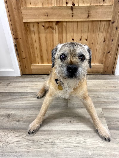 Grooming Van Image