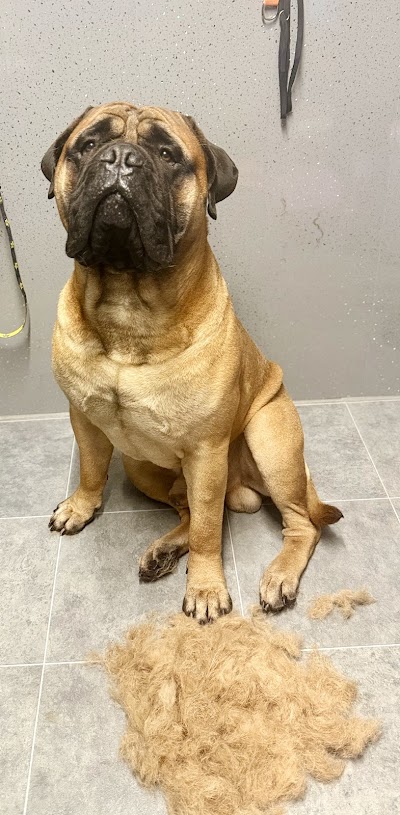 Grooming Van Image