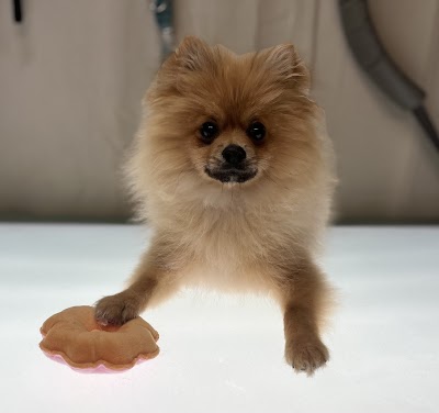 Grooming Van Image