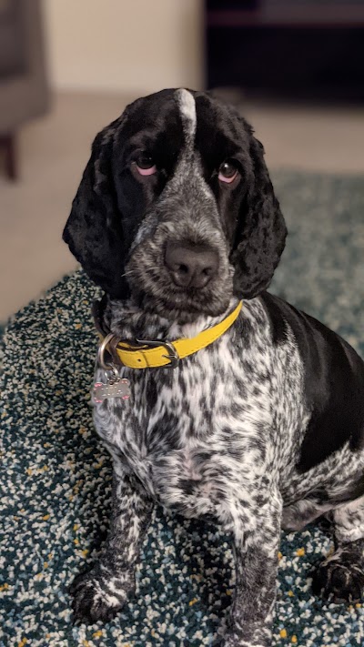 Grooming Van Image