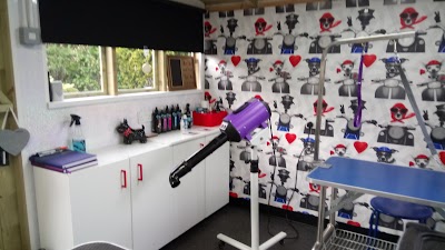 Grooming Van Image