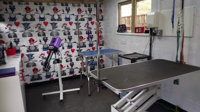 Grooming Van Image