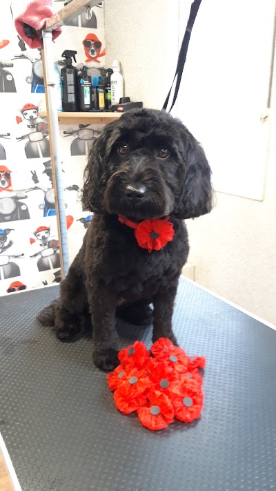 Hounds of Love Dog Grooming Salon