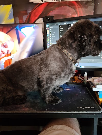 Grooming Van Image