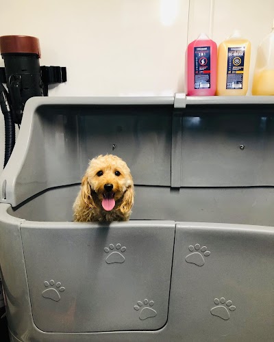 Grooming Van Image