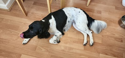 Grooming Van Image