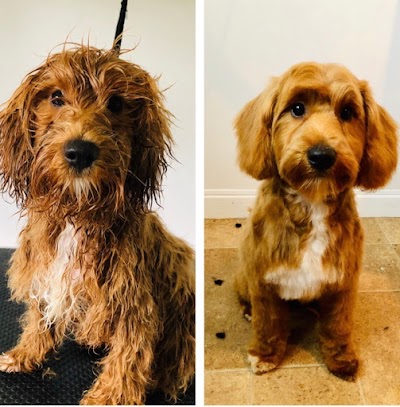 Grooming Van Image