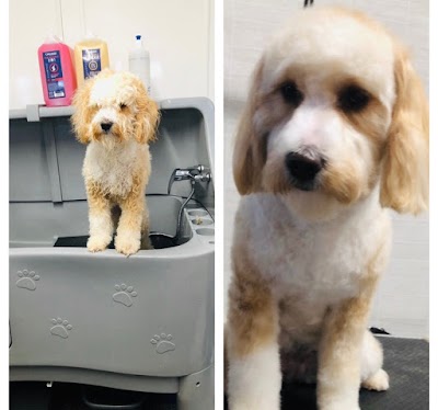 Grooming Van Image