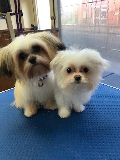 Grooming Van Image