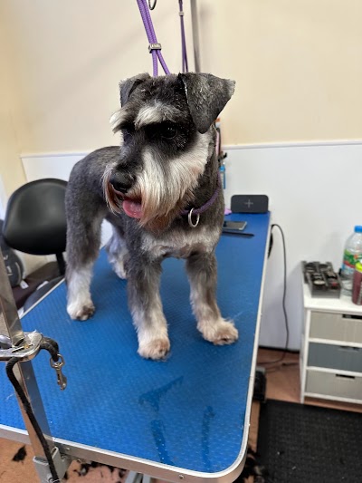 Grooming Van Image