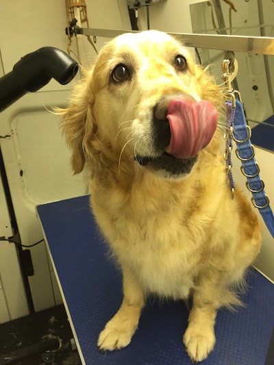 Grooming Van Image